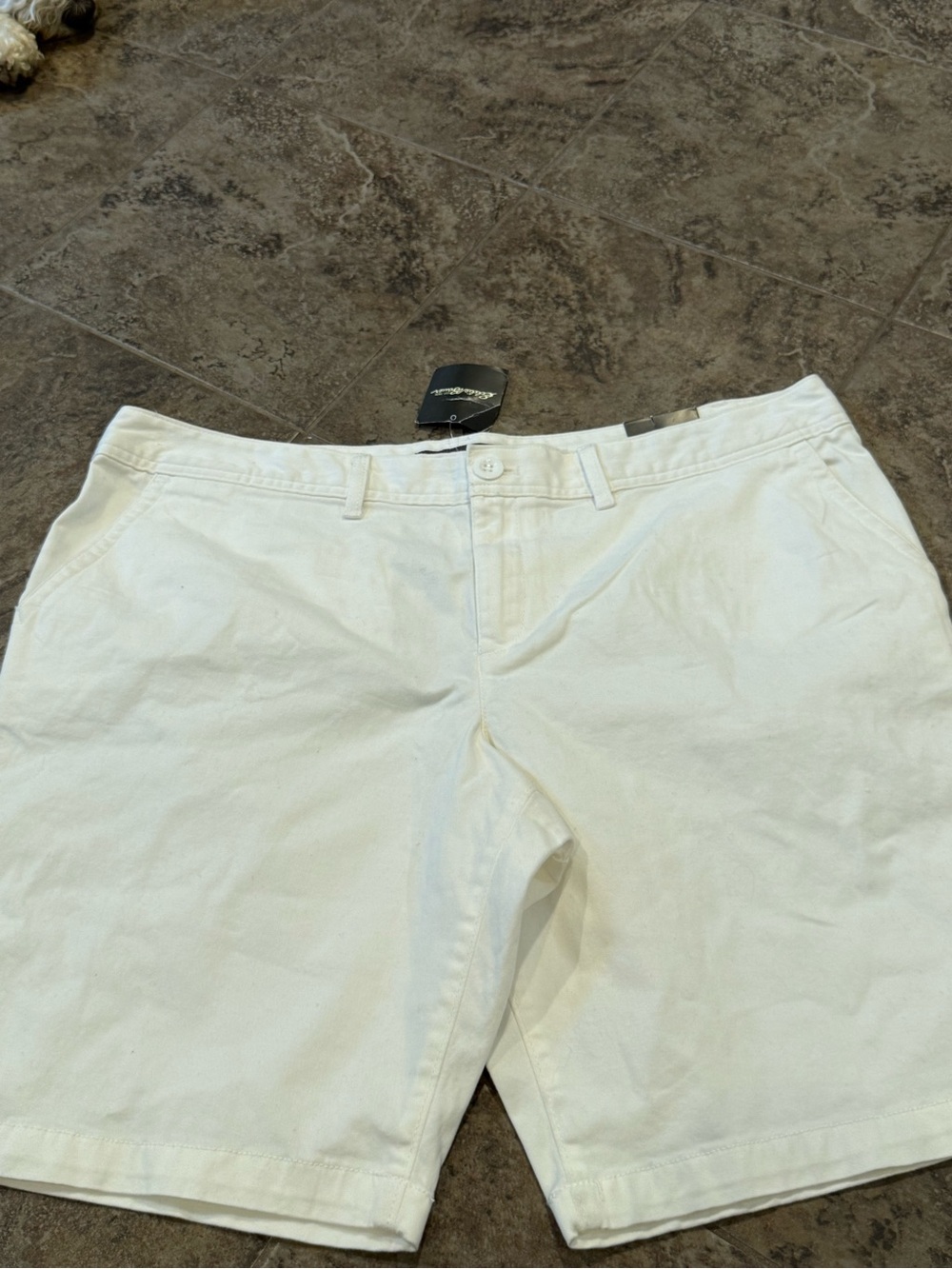 Slightly curvy chino shorts women’s Eddie Bauer